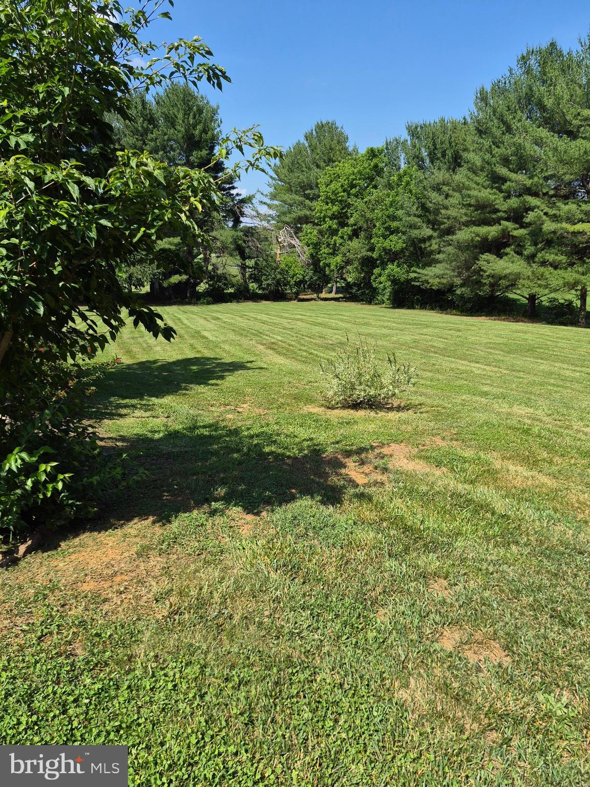 268 Bowling Green Road Front Royal, VA 22630 - Photo 39 of 41