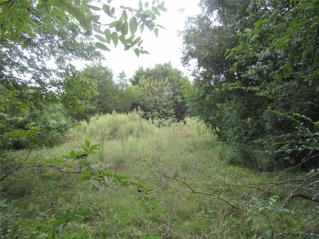 17700 Fm-901 Gordonville, TX 76245 - Photo 27 of 34