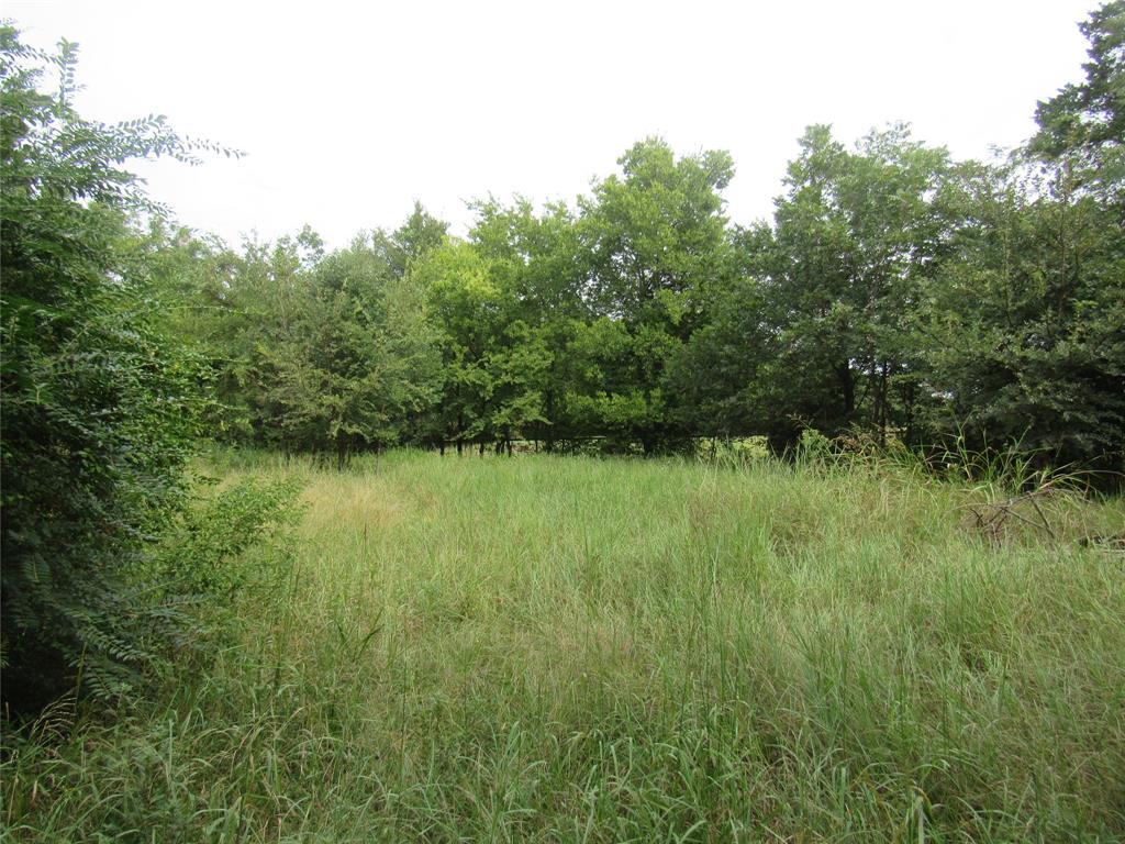 17700 Fm-901 Gordonville, TX 76245 - Photo 29 of 34