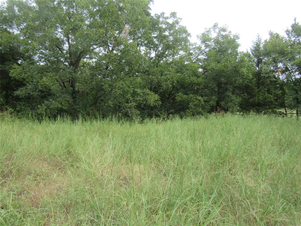 17700 Fm-901 Gordonville, TX 76245 - Photo 30 of 34