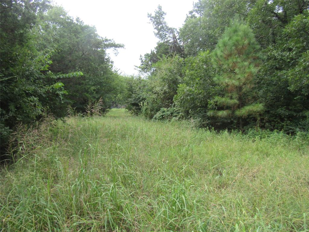 17700 Fm-901 Gordonville, TX 76245 - Photo 31 of 34