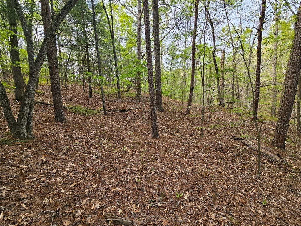 0 Talc Mine Road Jasper, GA 30143 - Photo 28 of 30 a view of a forest with trees in the background