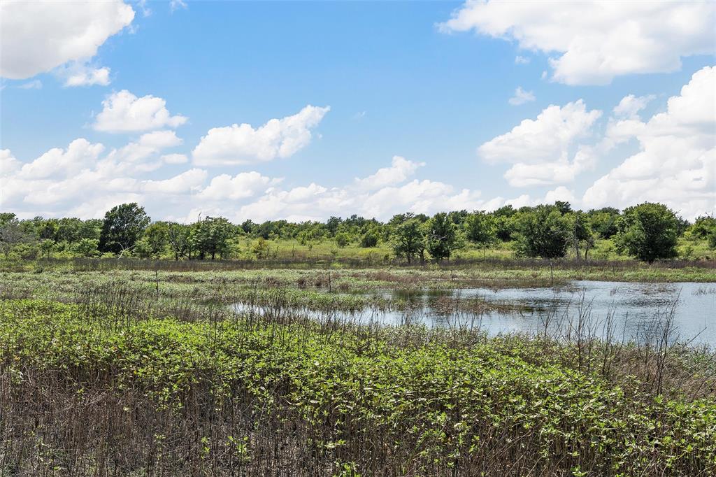 214 County Road 214 Coolidge, TX 76635 - Photo 12 of 16