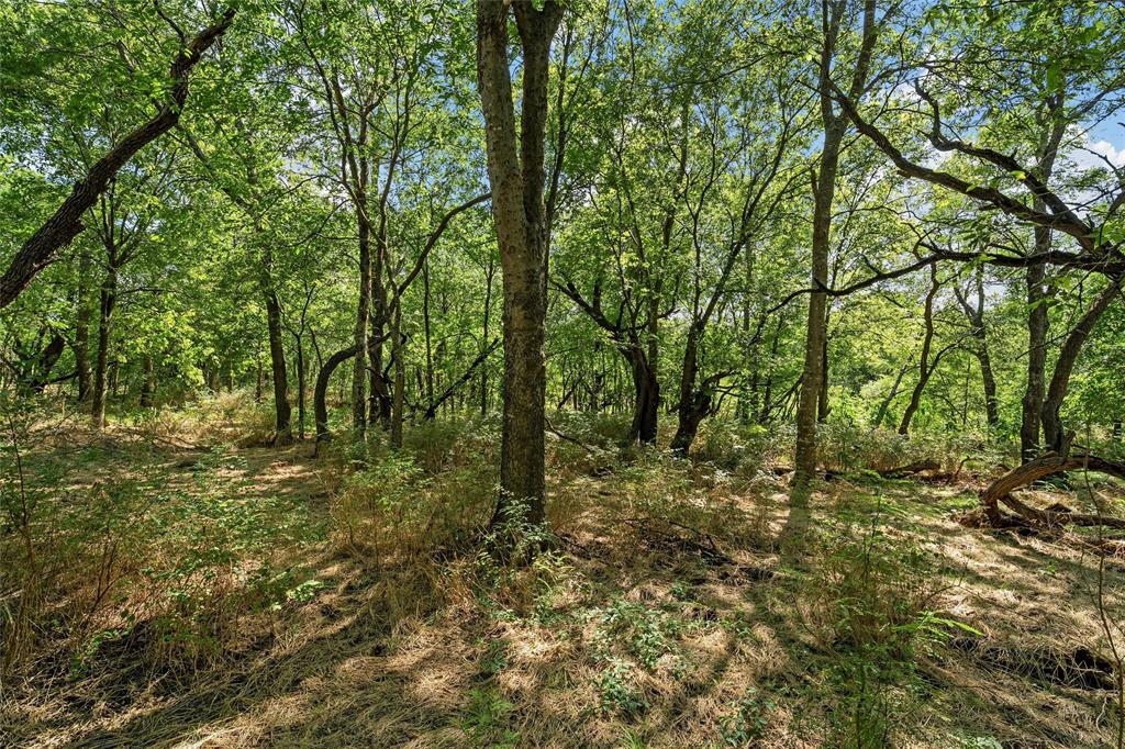 214 County Road 214 Coolidge, TX 76635 - Photo 4 of 16