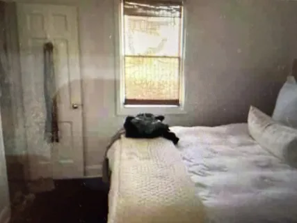 $895,000 | 2909 Sharon Hill Circle, Nashville, TN 37215