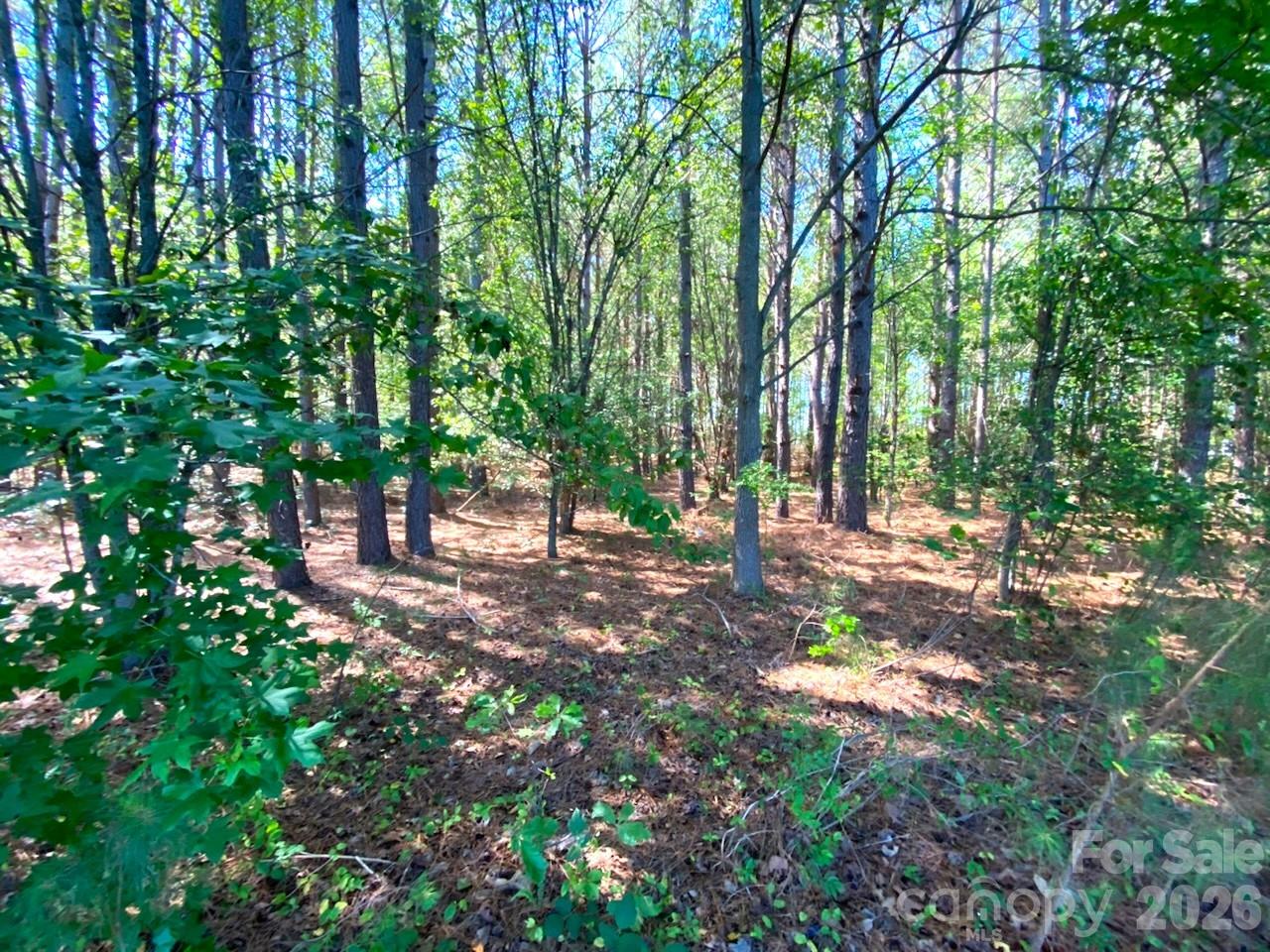 147-lots A & B Bailey Baxter Road Cherryville, NC 28021 - Photo 1 of 3