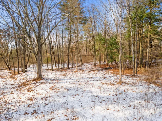 $89,000 | L12 Rr 9w, Bethlehem, NY 12158