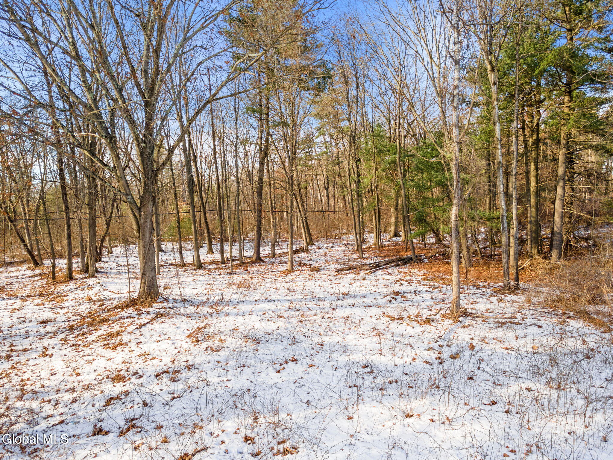 L12 Rr 9w Bethlehem, NY 12158 - Photo 11 of 13 13-L12RR9W_13