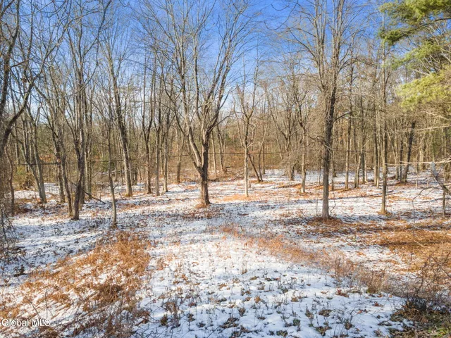 $89,000 | L12 Rr 9w, Bethlehem, NY 12158