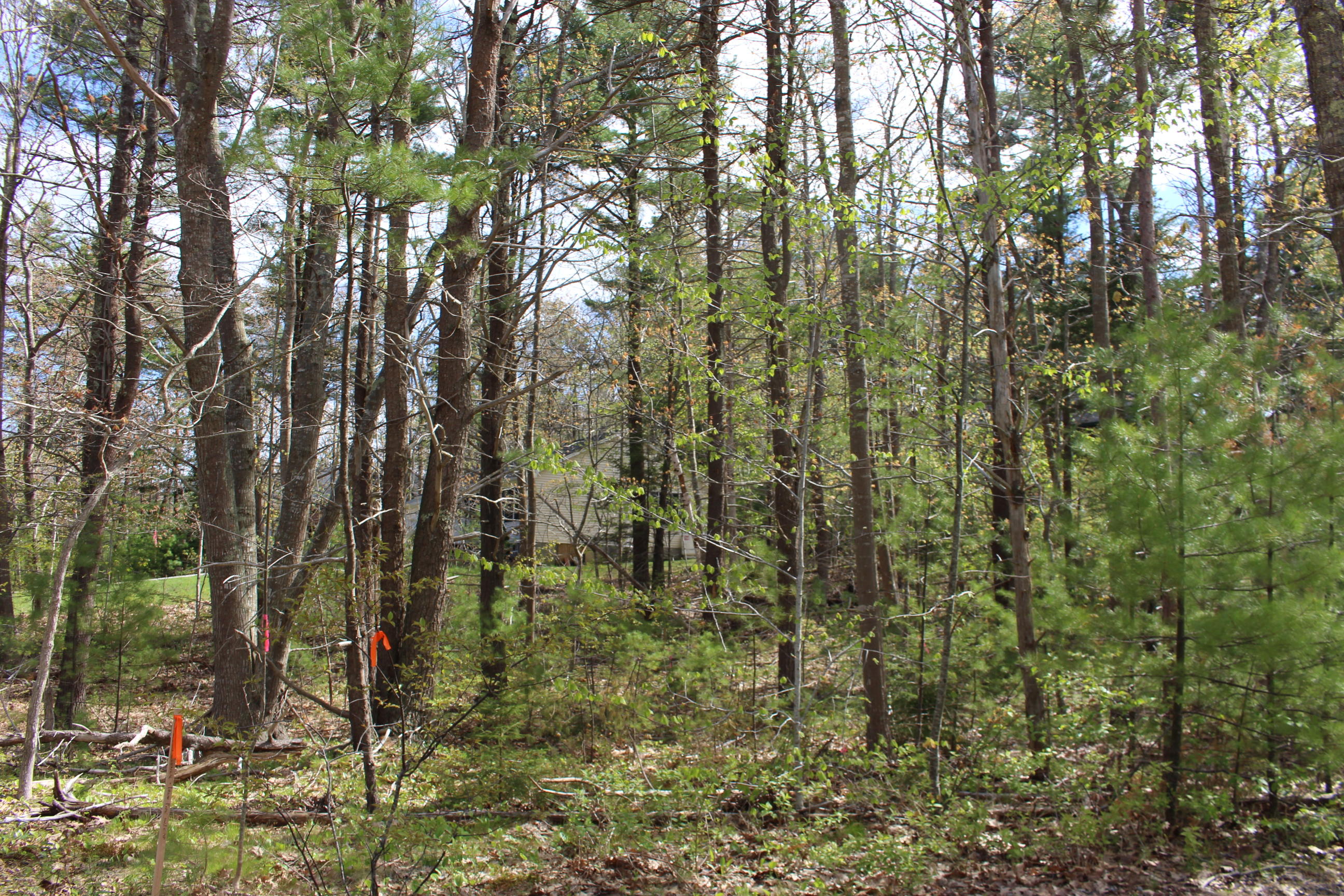 41 Pine Mountain Road York, ME 03902 - Photo 6 of 13 Lovely lot