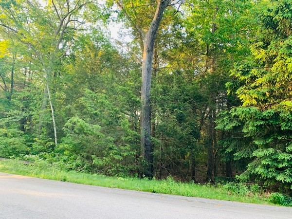 9 Kate's Lane Boxford, MA 01921 - Photo 2 of 7 a view of a yard with a trees