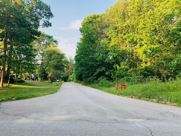 9 Kate's Lane Boxford, MA 01921 - Photo 4 of 7 a view of a road with a big yard and a large trees