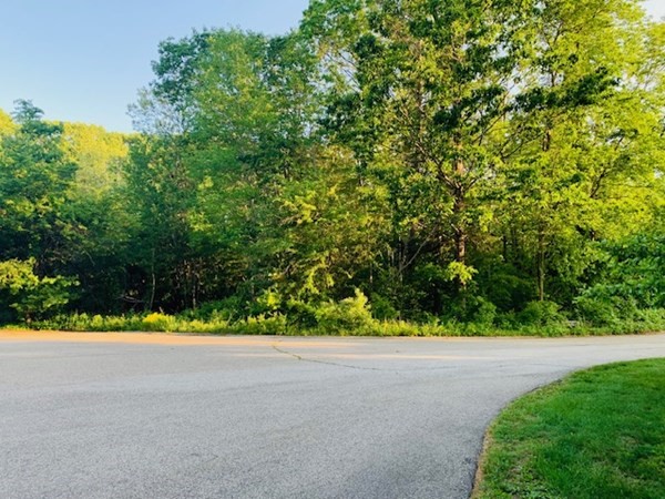 9 Kate's Lane Boxford, MA 01921 - Photo 5 of 7 a view of a yard with a tree