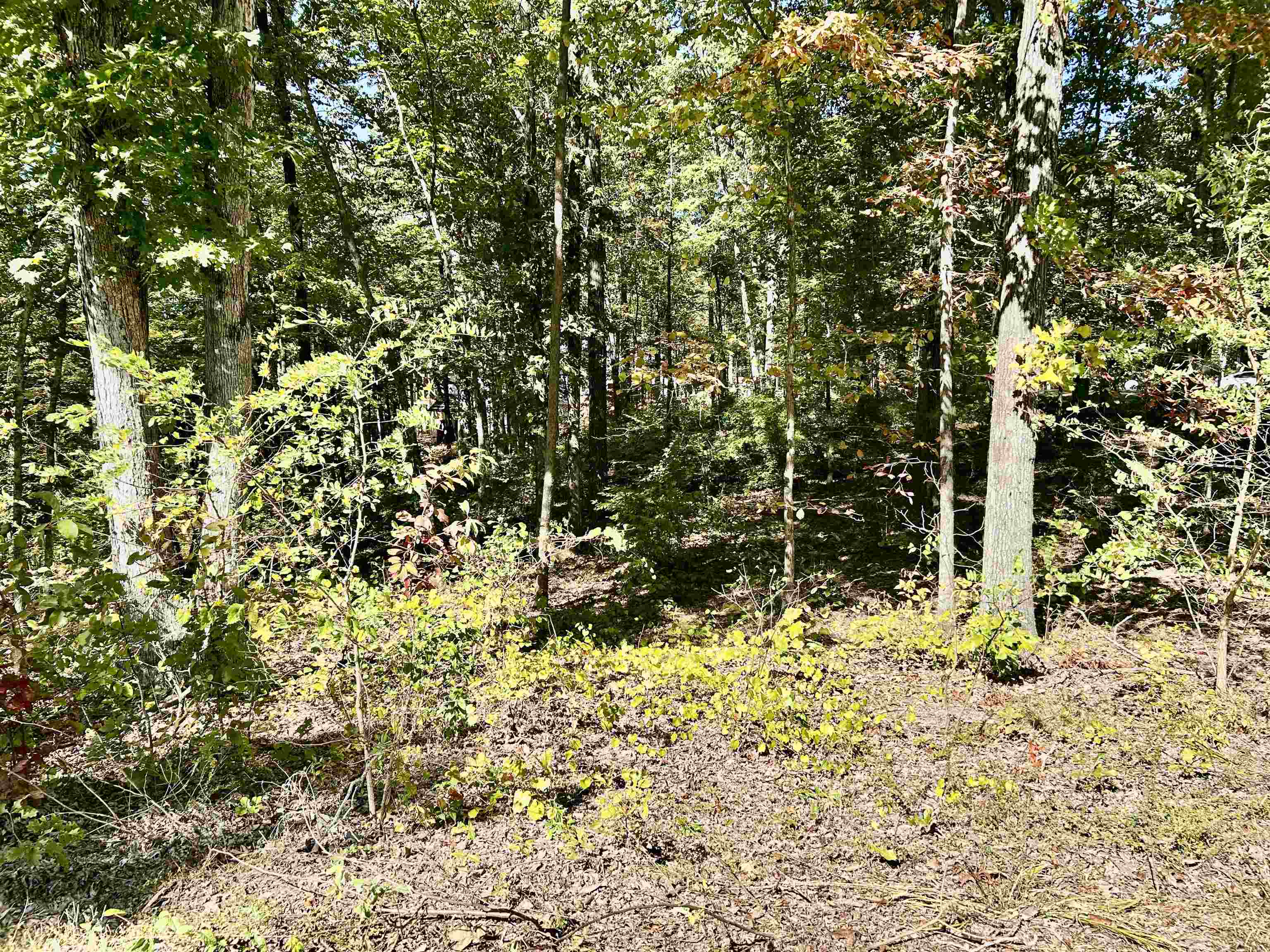 106 Gentle Ridge Way Savannah, TN 38372 - Photo 9 of 9 a view of a house with a tree