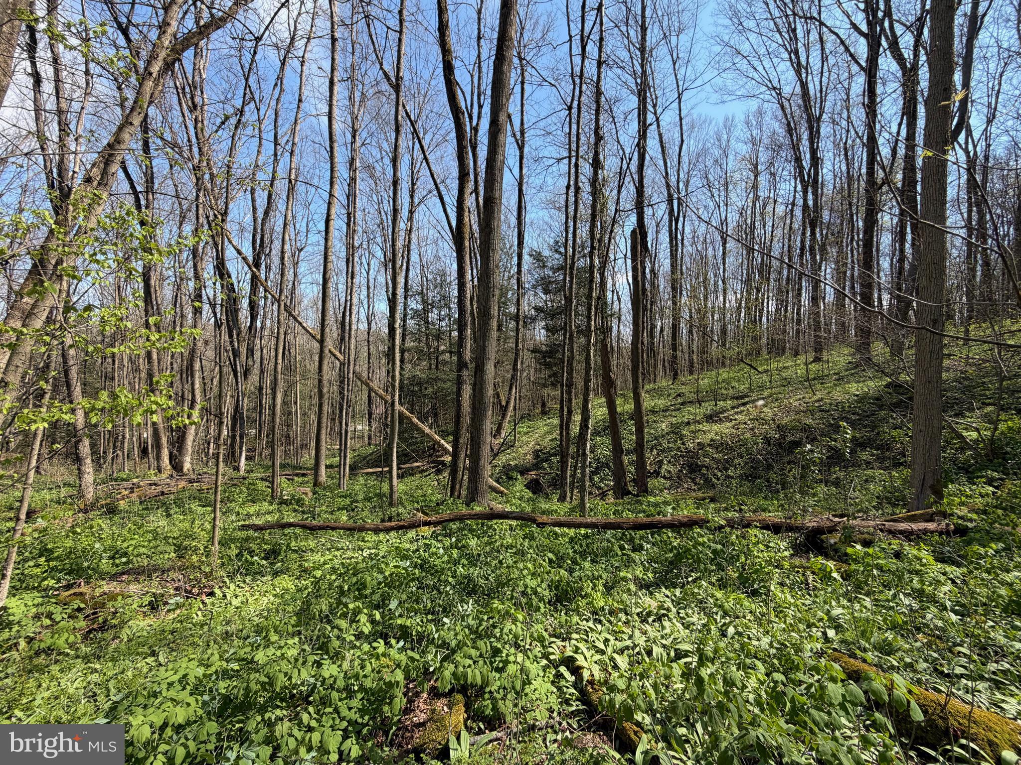 216 Rock Cut Road Central City, PA 15926 - Photo 5 of 23
