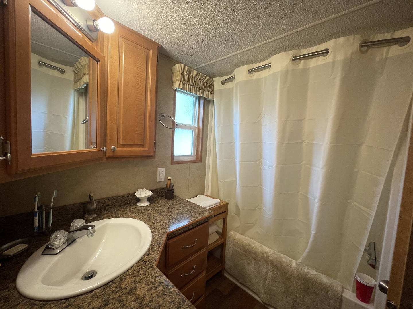 5-50 Woodhaven Lakes Sublette, IL 61367 - Photo 15 of 21 a bathroom with a sink and a mirror
