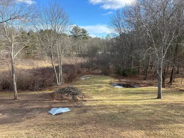 a view of a yard with large trees