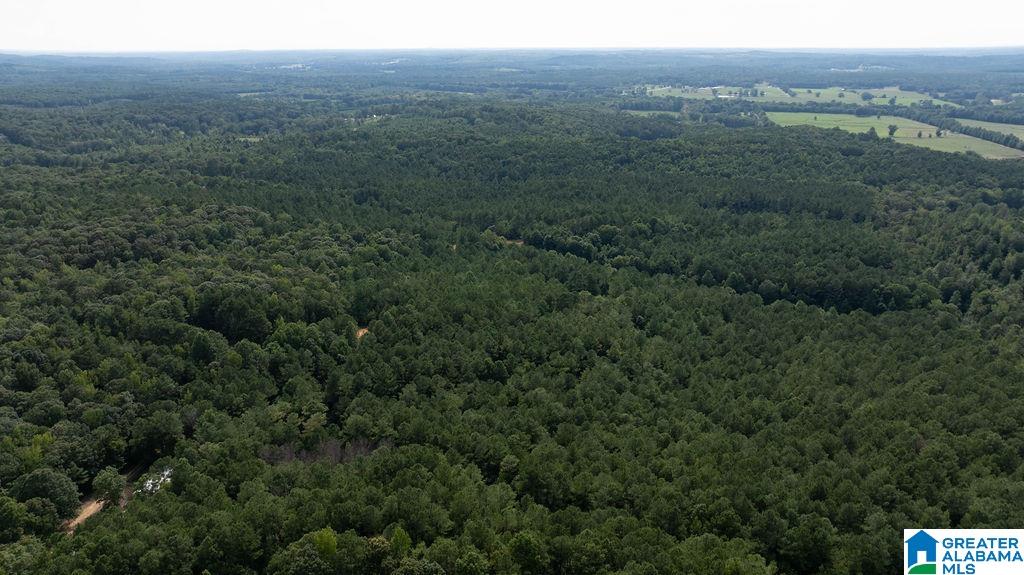 0 Wilkinson Road Fayette, AL 35555 - Photo 10 of 11