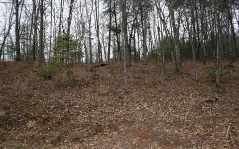 Lot 8 Jarrett Road Hayesville, NC 28904 - Photo 1 of 1 Main View