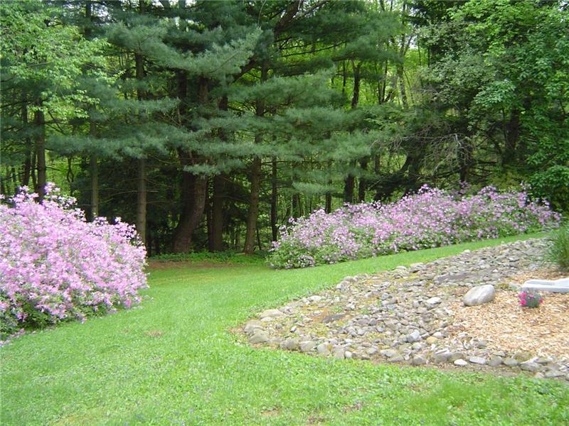5055 Dutch Ridge Road Beaver, PA 15009 - Photo 19 of 20 View of your backyard in Springtime bloom.