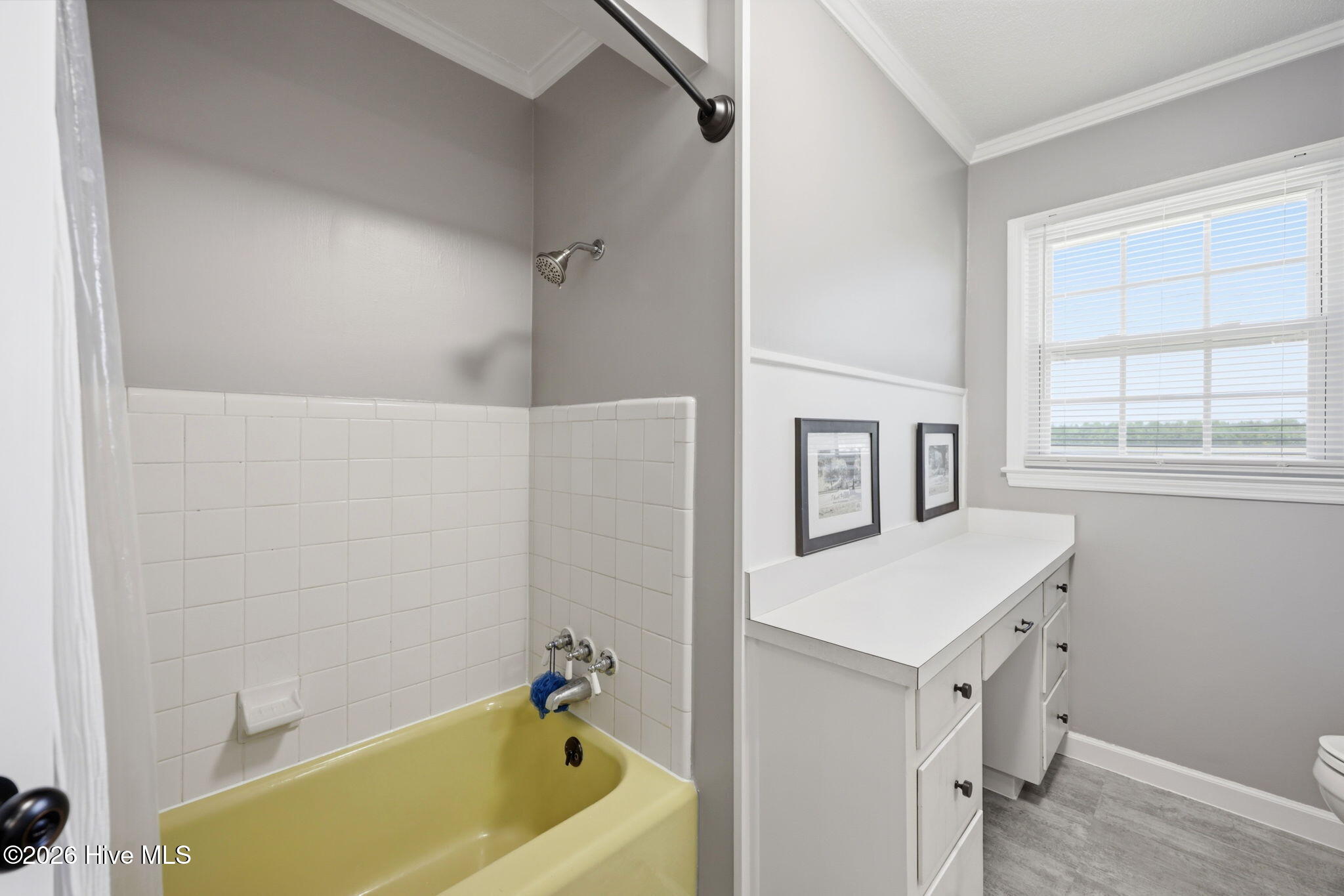 2336 Wharton Station Road Washington, NC 27889 - Photo 29 of 55 029 Guest Bathroom View 2