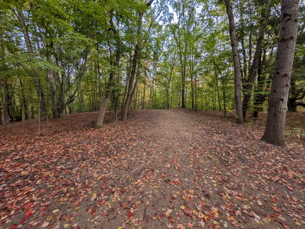 $39,900 | V/l East V/l E Kissing Oaks Trail, Unit 164, Custer, MI 49405