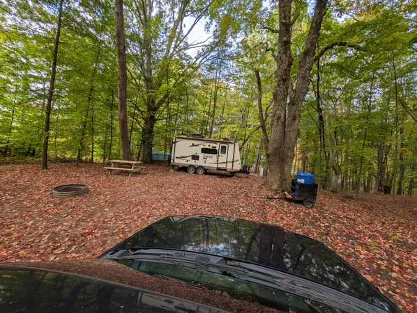 $39,900 | V/l East V/l E Kissing Oaks Trail, Unit 164, Custer, MI 49405