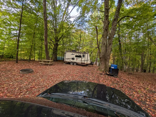 $39,900 | V/l East V/l E Kissing Oaks Trail, Unit 164, Custer, MI 49405