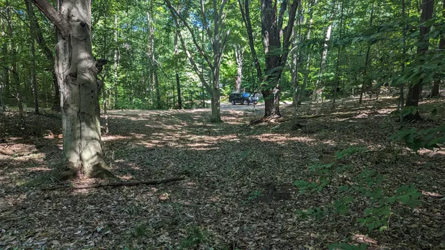 $39,900 | V/l East V/l E Kissing Oaks Trail, Unit 164, Custer, MI 49405