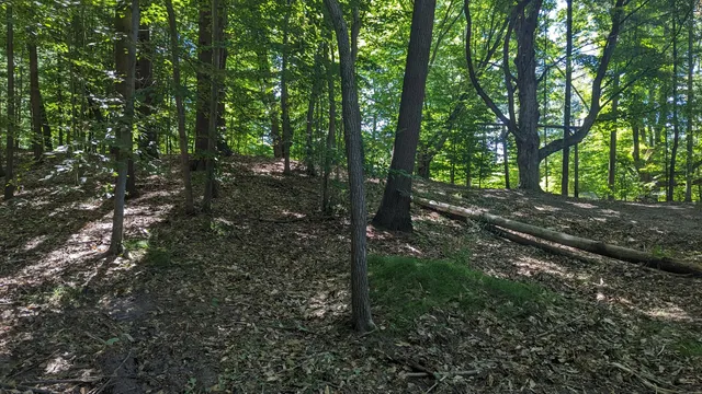 $39,900 | V/l East V/l E Kissing Oaks Trail, Unit 164, Custer, MI 49405