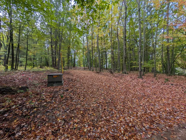 $39,900 | V/l East V/l E Kissing Oaks Trail, Unit 164, Custer, MI 49405