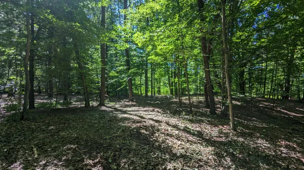 $39,900 | V/l East V/l E Kissing Oaks Trail, Unit 164, Custer, MI 49405