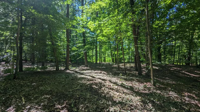 $39,900 | V/l East V/l E Kissing Oaks Trail, Unit 164, Custer, MI 49405