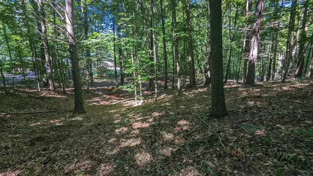 $39,900 | V/l East V/l E Kissing Oaks Trail, Unit 164, Custer, MI 49405