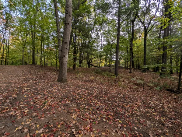 $39,900 | V/l East V/l E Kissing Oaks Trail, Unit 164, Custer, MI 49405