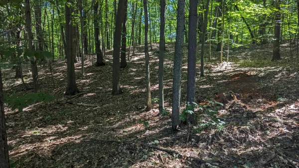 $39,900 | V/l East V/l E Kissing Oaks Trail, Unit 164, Custer, MI 49405