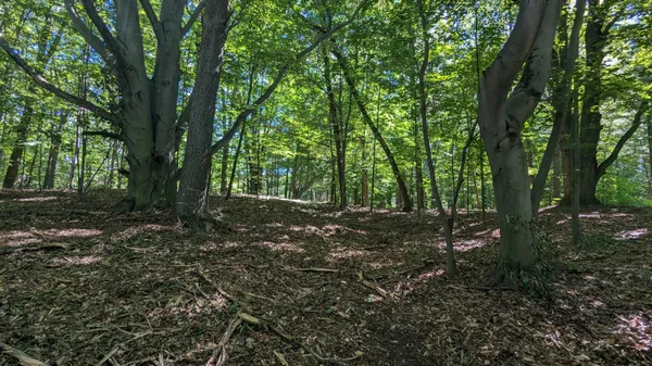 $39,900 | V/l East V/l E Kissing Oaks Trail, Unit 164, Custer, MI 49405