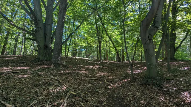 $39,900 | V/l East V/l E Kissing Oaks Trail, Unit 164, Custer, MI 49405