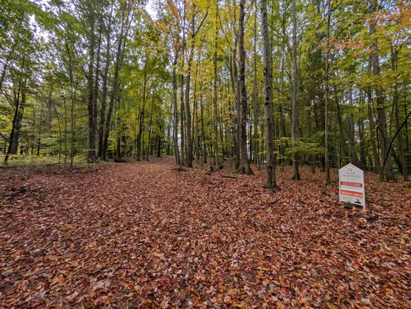 $39,900 | V/l East V/l E Kissing Oaks Trail, Unit 164, Custer, MI 49405