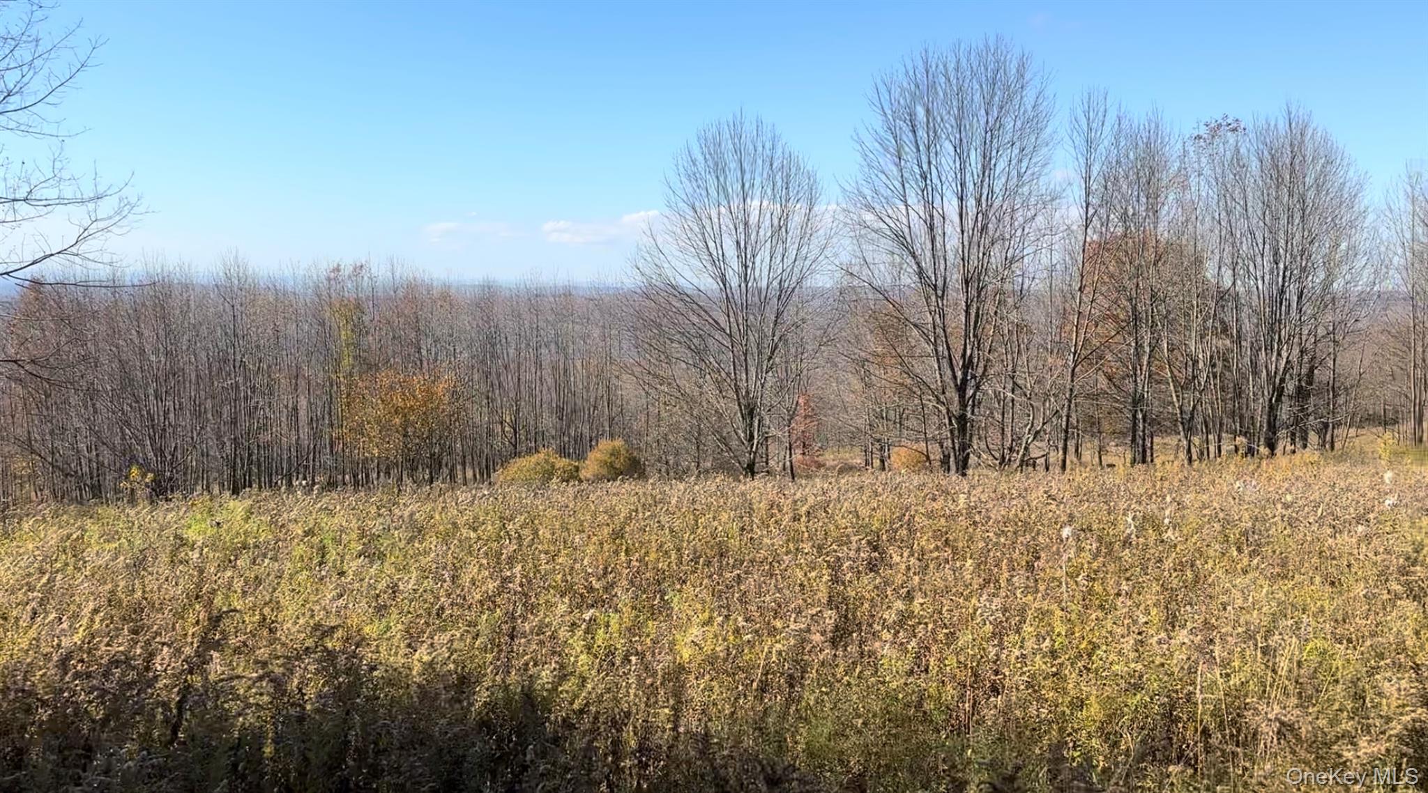 Chaffee Road Liberty, NY 12754 - Photo 3 of 7 a view of a yard