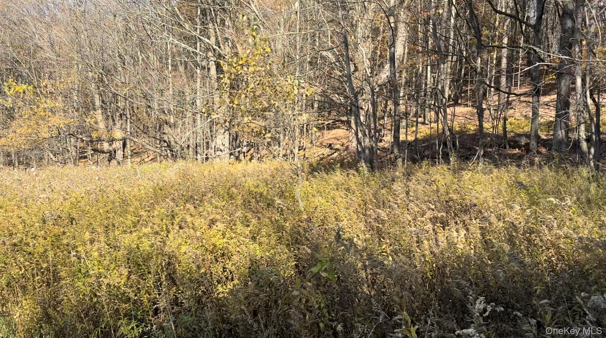 Chaffee Road Liberty, NY 12754 - Photo 5 of 7 a view of lake view