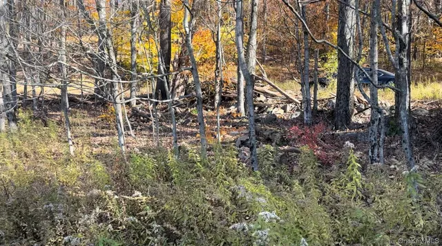 $89,500 | Chaffee Road, Liberty, NY 12754