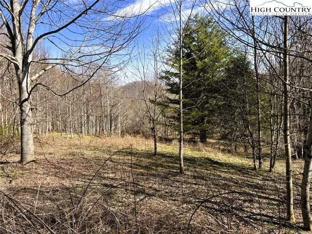 $55,000 | Lot 3 Larkspur Trail, Banner Elk, NC 28604