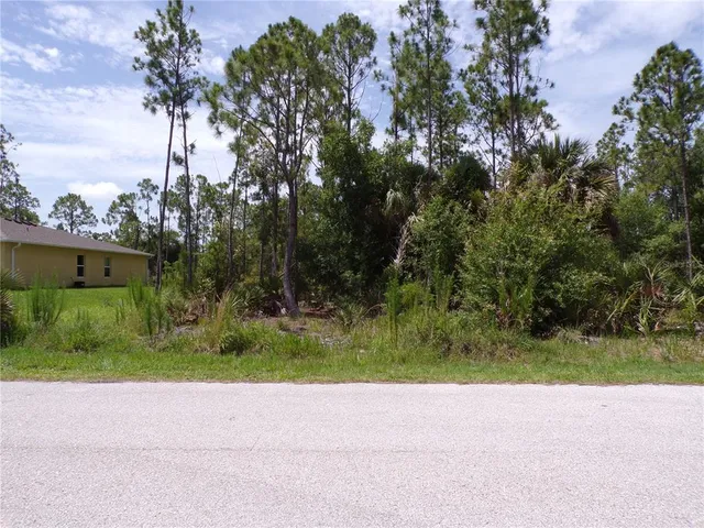$20,000 | 23413 Patera Avenue, Punta Gorda, FL 33980