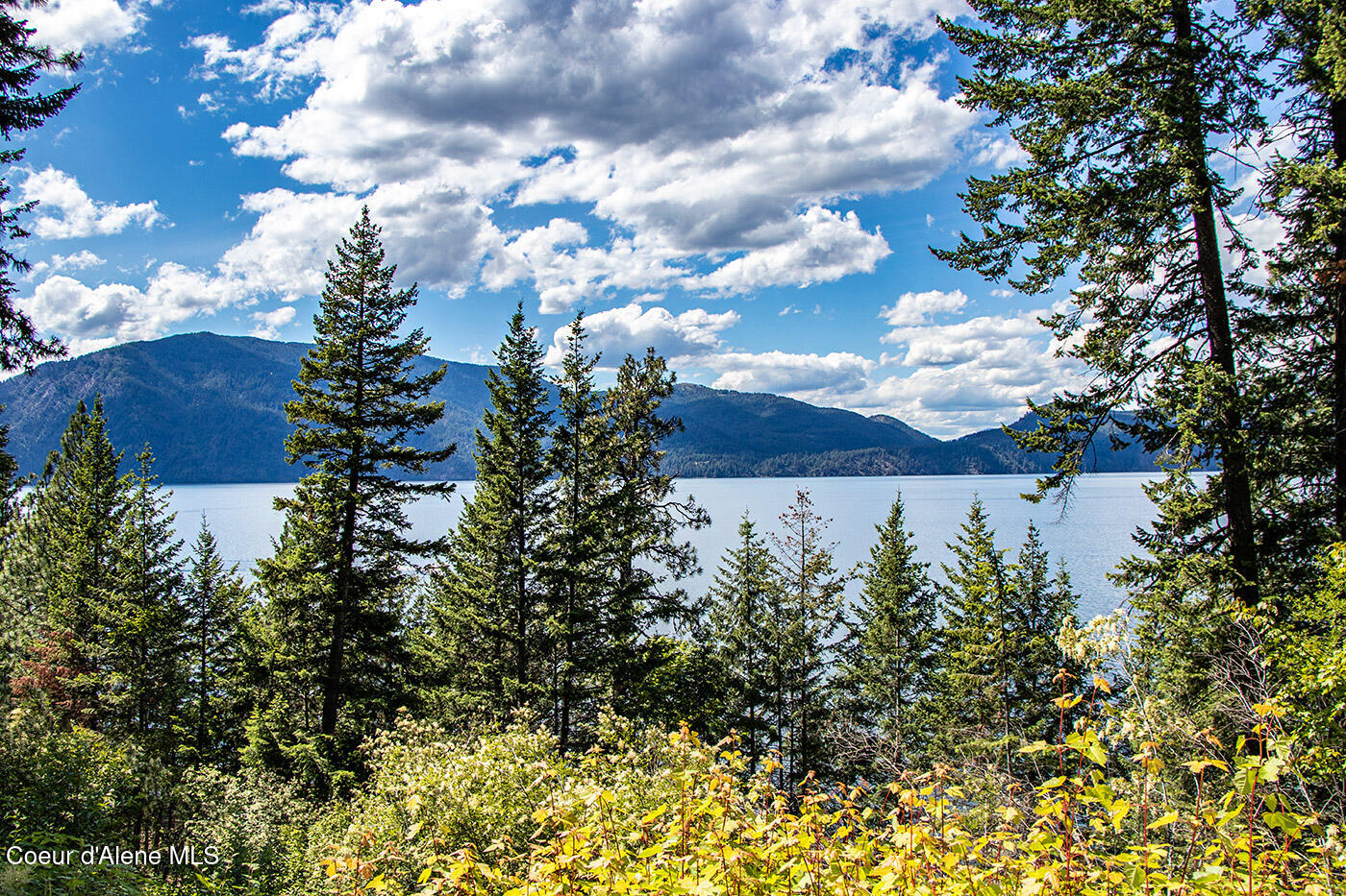 812 Pine Cove Road Clark Fork, ID 83811 - Photo 32 of 37 Exterior-Views