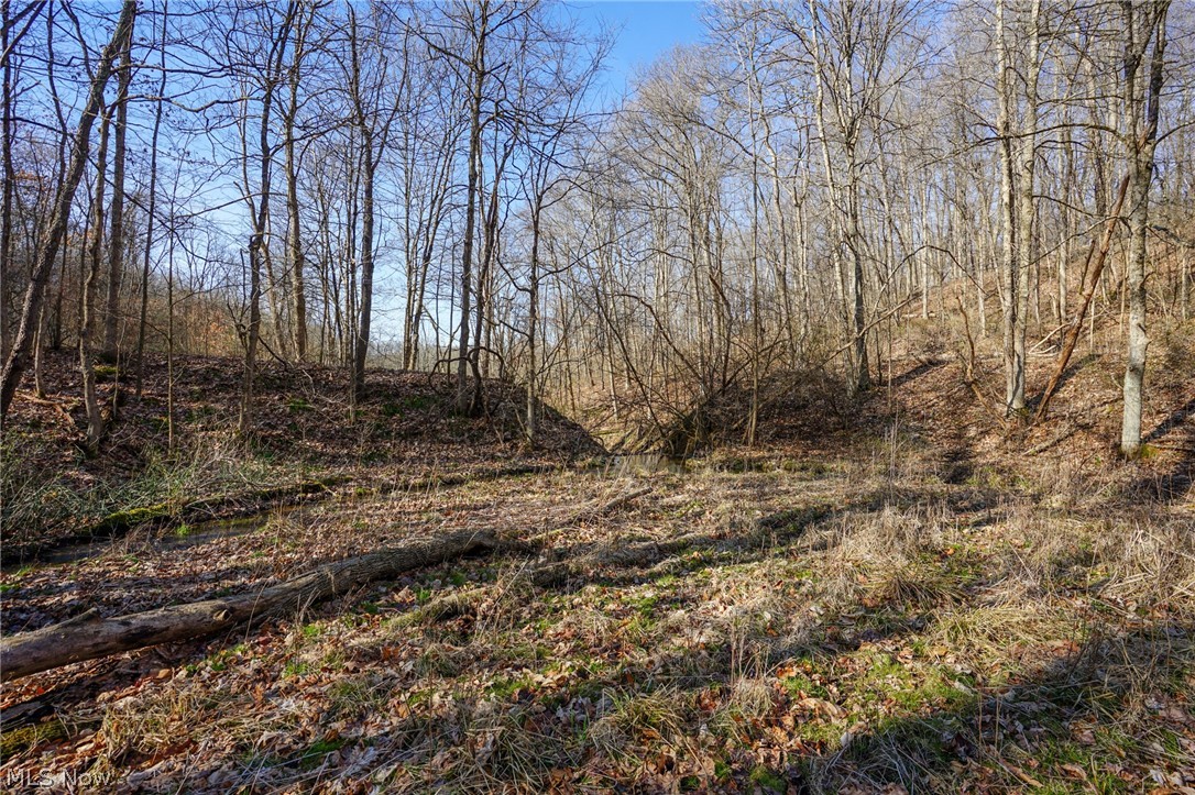 York Road Adena, OH 43901 - Photo 30 of 50 View of nature