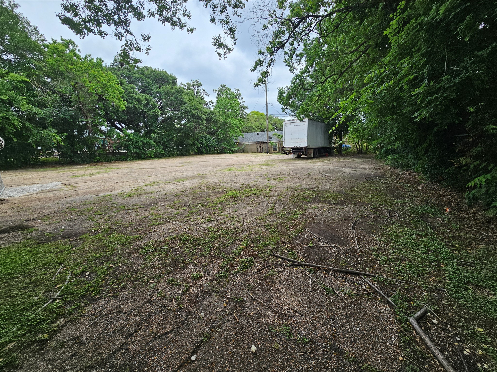 3334 Kilgore Street Houston, TX 77021 - Photo 7 of 8 a view of a yard with a tree