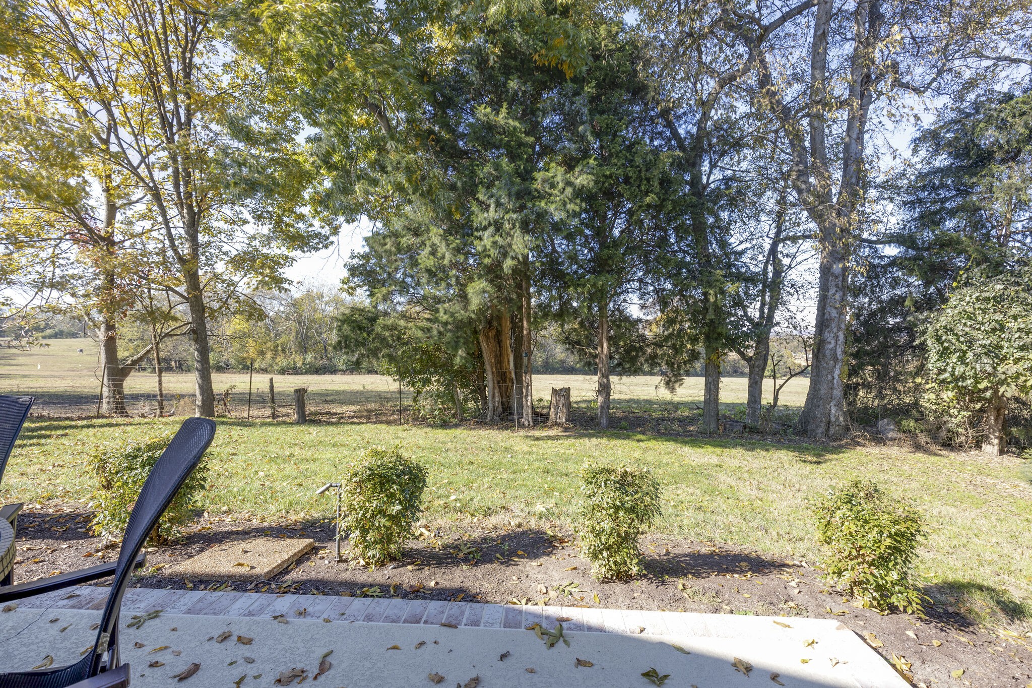 69 Blue Ridge Trace Hendersonville, TN 37075 - Photo 45 of 50 a view of yard with tree