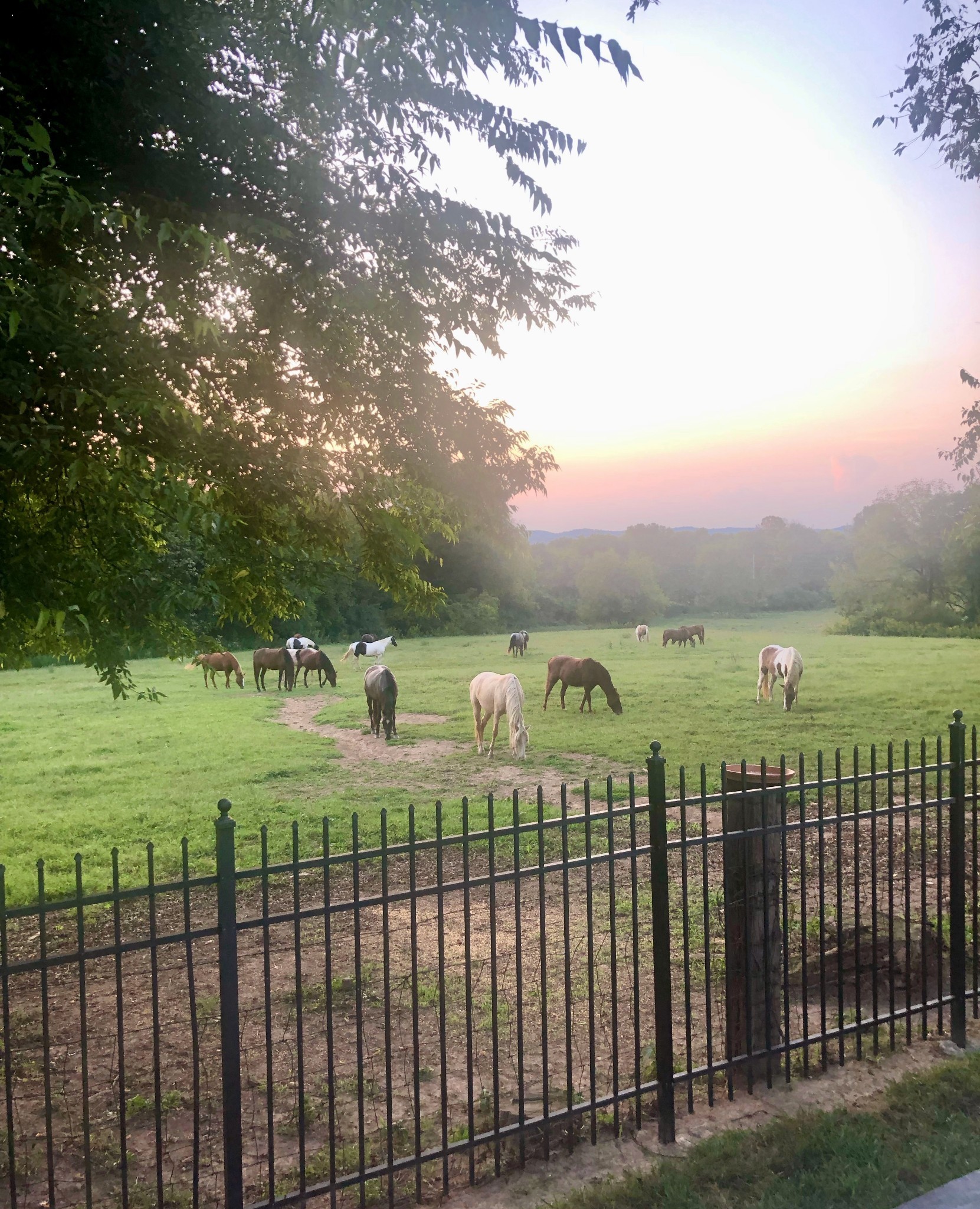 69 Blue Ridge Trace Hendersonville, TN 37075 - Photo 47 of 50