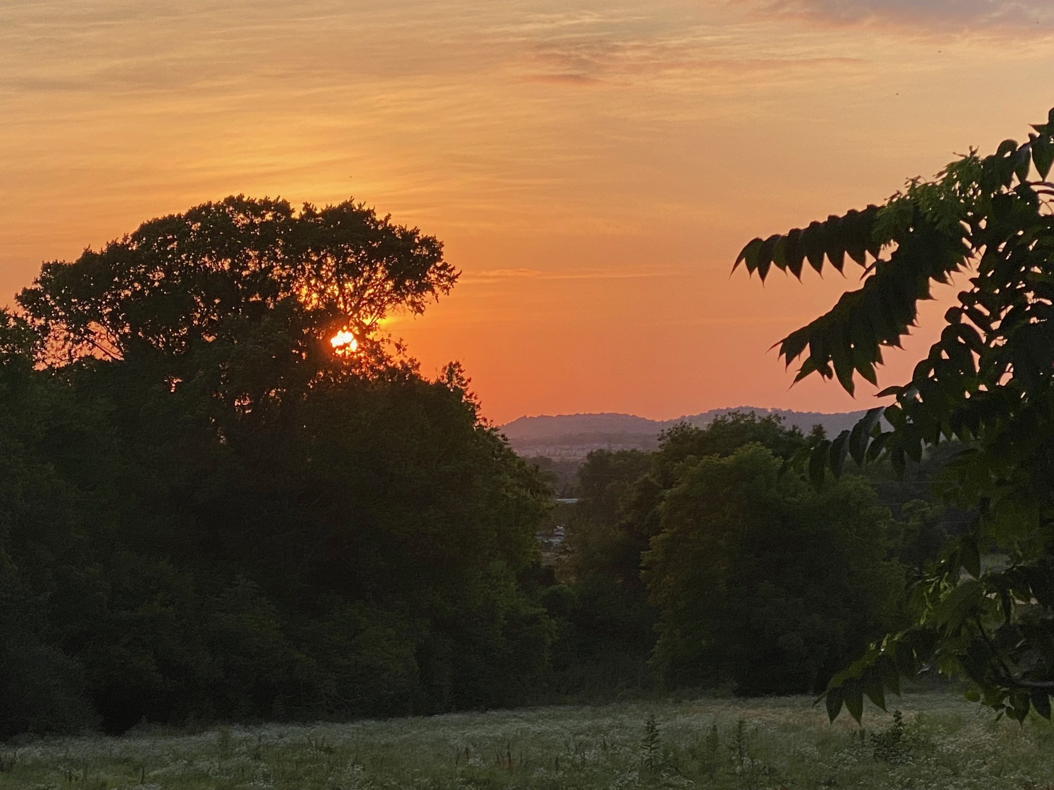 69 Blue Ridge Trace Hendersonville, TN 37075 - Photo 48 of 50 a view of a city